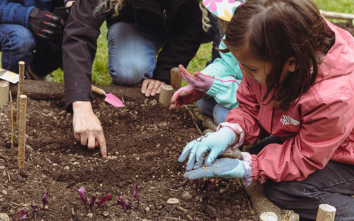 aussaat-pikier-party-HH_lM0