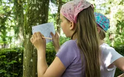 auf-schatzsuche-im-wald-niSxLw